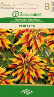 Kolmevärviline rebashein "Perfecta"