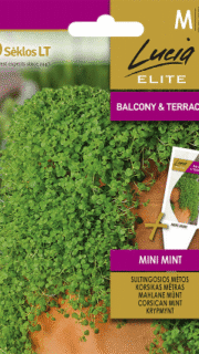 Korsika münt "Mini Mint"