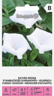 Kuradi ogaõun valge