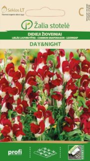 Lõvilõug "Day & Night"