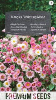 Manglese päikesetiib segu