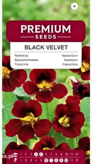 Mungalill "Black Velvet"