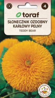 Harilik päevalill "Teddy Bear"