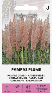 Argentiina pamparohi roosa