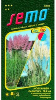 Argentiina pamparohi segu "Pink and White"