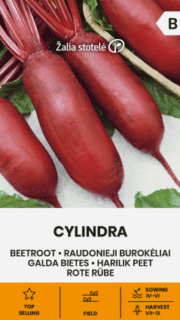 Peet "Cylindra"