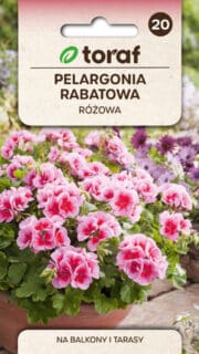 Vöötpelargoon roosa