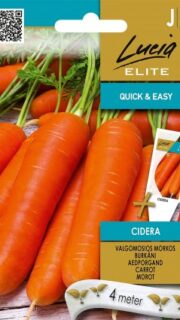 Porgand "Cidera" - lindil 4 meetrit