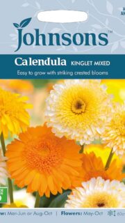 Saialill "Kinglet Mixed"