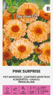 Saialill "Pink Surprise"