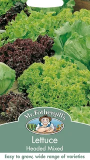 Salat "Headed Mixed"