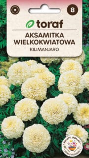 Peiulill "Kilimanjaro"