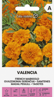 Peiulill "Valencia"