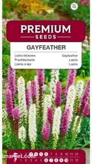 Tähkjas liatris segu