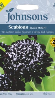 Hurmeline tähtpea "Black Knight"