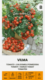 Tomat "Vilma"