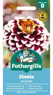 Harilik pruudisõlg "Jazzy Red"