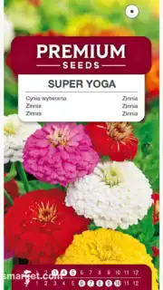 Harilik pruudisõlg "Super Yoga"