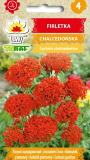 Loitev tulinelk "Red"