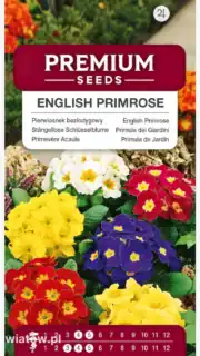 Varretu priimula segu