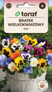 Võõrasema suureõieliste segu