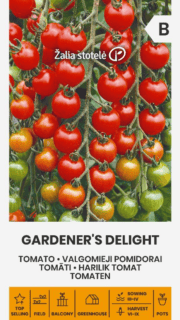 Tomat "Gardener`s Delight"