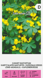 Lõhis-mungalill "Canary Yellow"