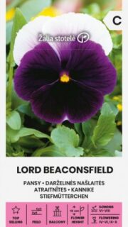 Võõrasema "Lord Beaconsfield"