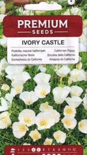 Kalifornia läänemagun "Ivory Castle"