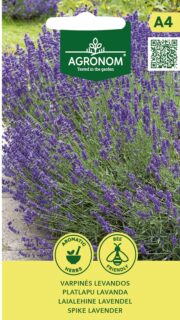 Laialehine lavendel "Spike Lavender"