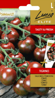 Tomat "Tigrino"