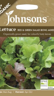 Lehtsalat "Red and Green Salad Bowl Mixed"