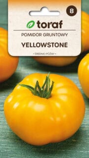 Tomat "Yellowstone"