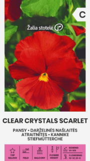Võõrasema "Clear Crystals Scarlet"