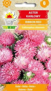 Aster "Ribbon Red"