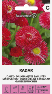 Harilik kirikakar "Radar"