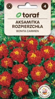 Peiulill "Bonita Carmen"