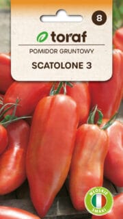 Tomat "Scatolone 3"