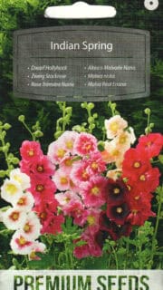 Aed-tokkroos "Indian Spring"