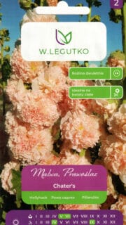 Aed-tokkroos "Chater`s Salmon"