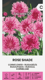 Rukkilill "Rose Shade"