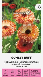 Saialill "Sunsett Buff"