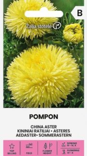 Aster kollane "Pompon"