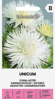 Aster "Unicum White"