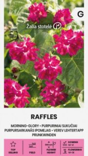 Lehtertapp "Raffles"