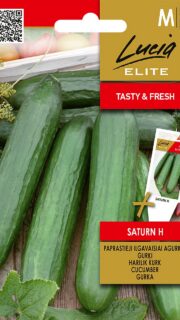 Kasvuhoonekurk "Saturn" F1