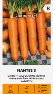 Porgand "Nantes 3"