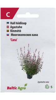 Hall hiidiisop "Cana" roosa