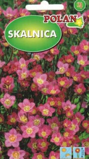 Arendsi kivirik roosa