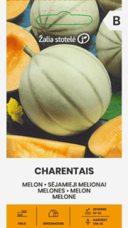 Melon "Charentais"